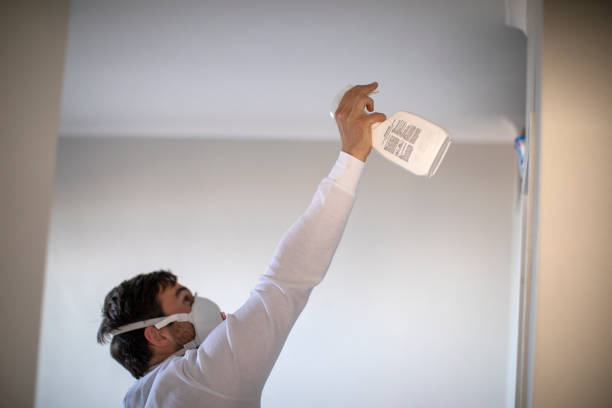 Best Office Mold Removal Services  in Ome, GA