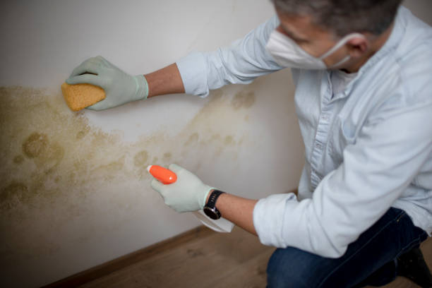 Omega, GA Mold Removal Company
