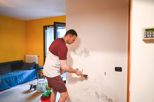Best Black Mold Removal  in Ome, GA