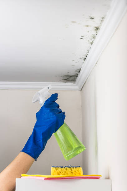 Best Water Damage Restoration  in Ome, GA